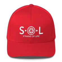 S.O.L Fitted Twill Cap